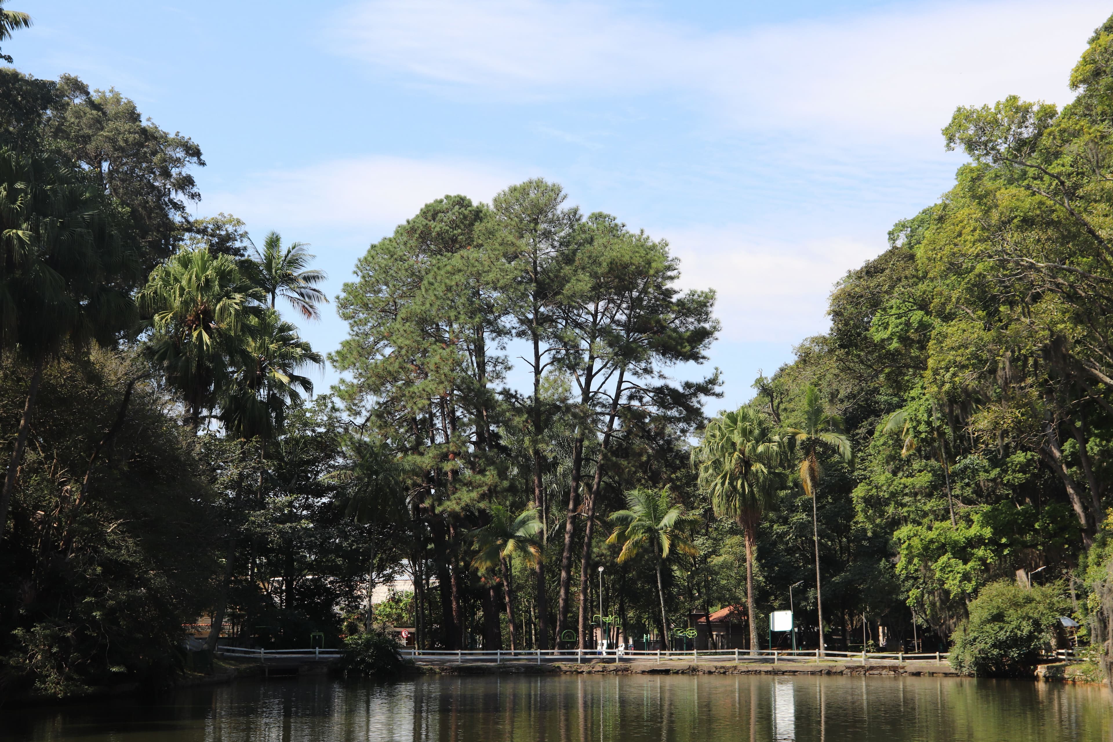 Conscientização ambiental durante o Tour 3 em 1